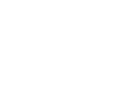 Turner Little Logo